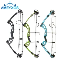 

30-55lbs Archery Compound Bow Set with Bow Stabilizer Peep Sight 310FPS Arrow Speed for Outdoor Sport Hunting Shooting Training