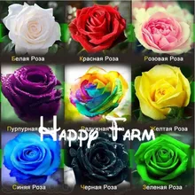 Это включает 9 Упаковок каждого цвета 200 шт, 1800) китайская Роза бонсай-Радужный розовый черный белый красный фиолетовый зеленый синий розовый сад