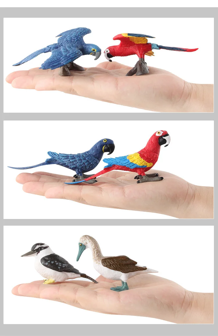 9088013910_1793268619