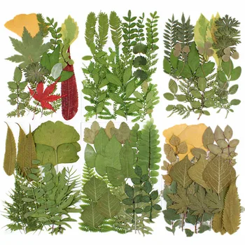 

21Pcs/bag Dried Leaf Resin Mold Fillings Uv Expoxy Flower for Diy Jewelry Making Nail Art Decals Pendant