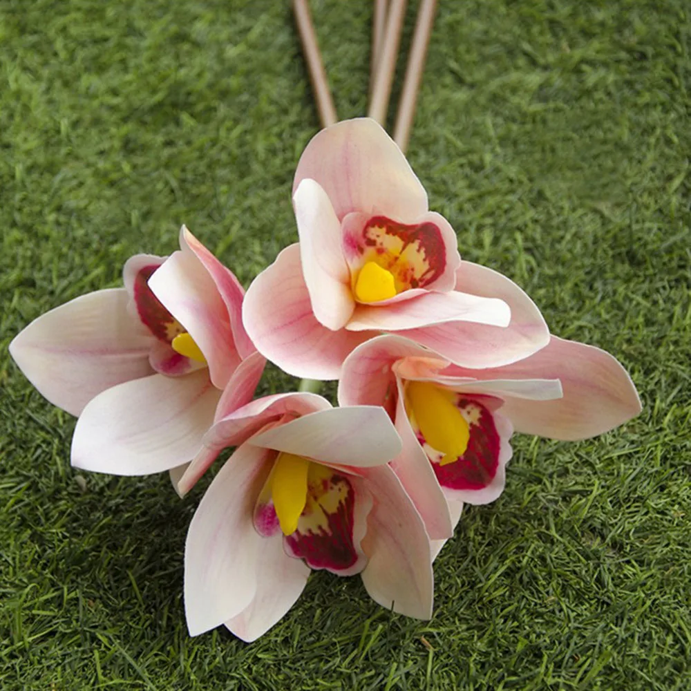 YYPA0091-1-YYPA0091-6-C5