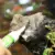 1шт Аквариумный Клей Aquascaping Клей Водное Растение Клей Мертвая древесина Мох Коралловое Море Свежий Камень Танк Аквариум
