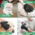 Pet Care Glove Cat Grooming Cat Glove Deshedding Brush Gloves Dog Comb for Cat Supplies Bath Clean Massage Hair Remover Brush