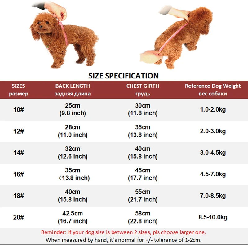 8JZ)X@VM4NGV8NSI4PVT87C