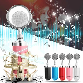 

New BM-3000 Studio Recording Condenser Microphone Supply Metal Shock Mount Filter Live Microphone KTV Plug Stand Holder