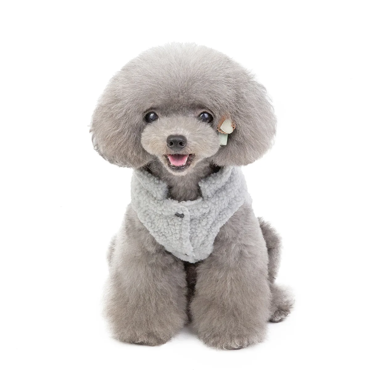 Осенний и зимний Повседневный стиль, одежда для собак, теплый удобный простой модный жилет на две ноги, плюшевый Померанский костюм для маленьких собак