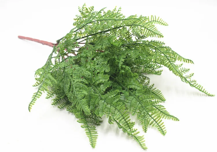 19叶软胶波斯叶