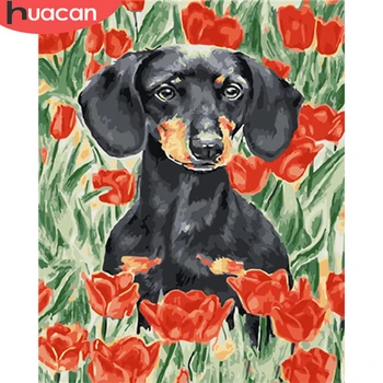 

HUACAN Pictures By Numbers Animals DIY Hand Painted Wall Art For Adults Oil Painting By Numbers Flower Dog Gift Home Decor