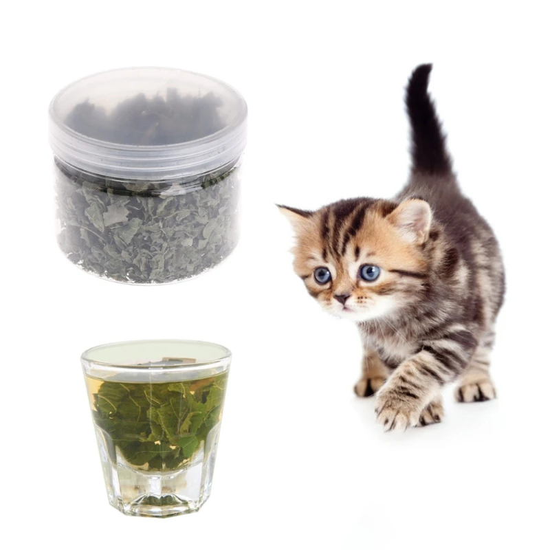 2022 New Natural Silvervine Leaves Cat Catnip Dried Polygonum Matatabi Toys Flavor Snacks