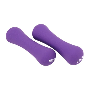 

0.5Kg Dumbbells Hand Weights Fitness Equipment Weights for Home Body Building Dumb Bell Exercise Dumbell