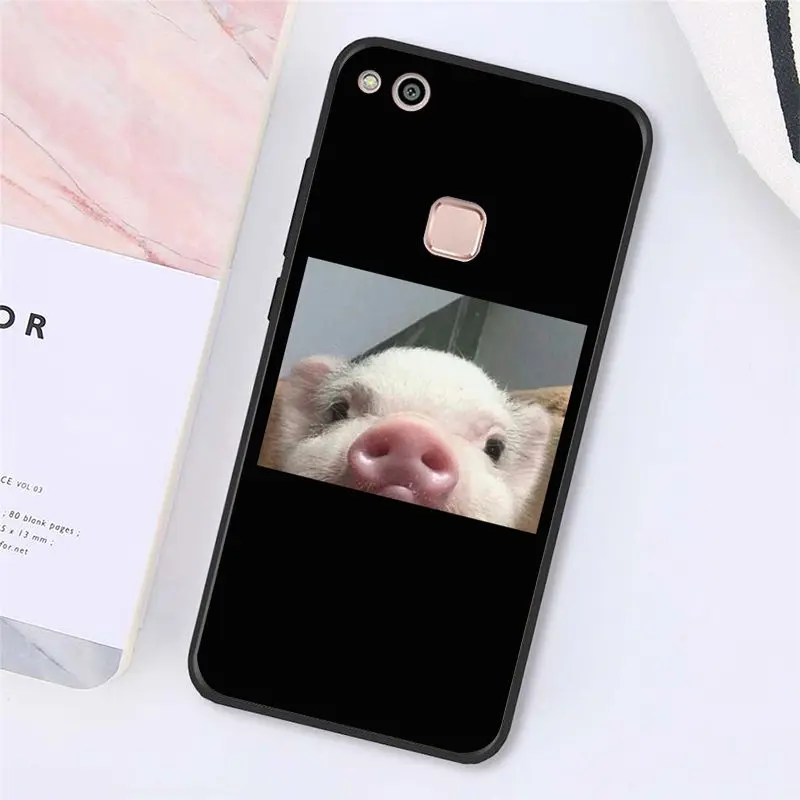 Cute Little Pink Pet Pig