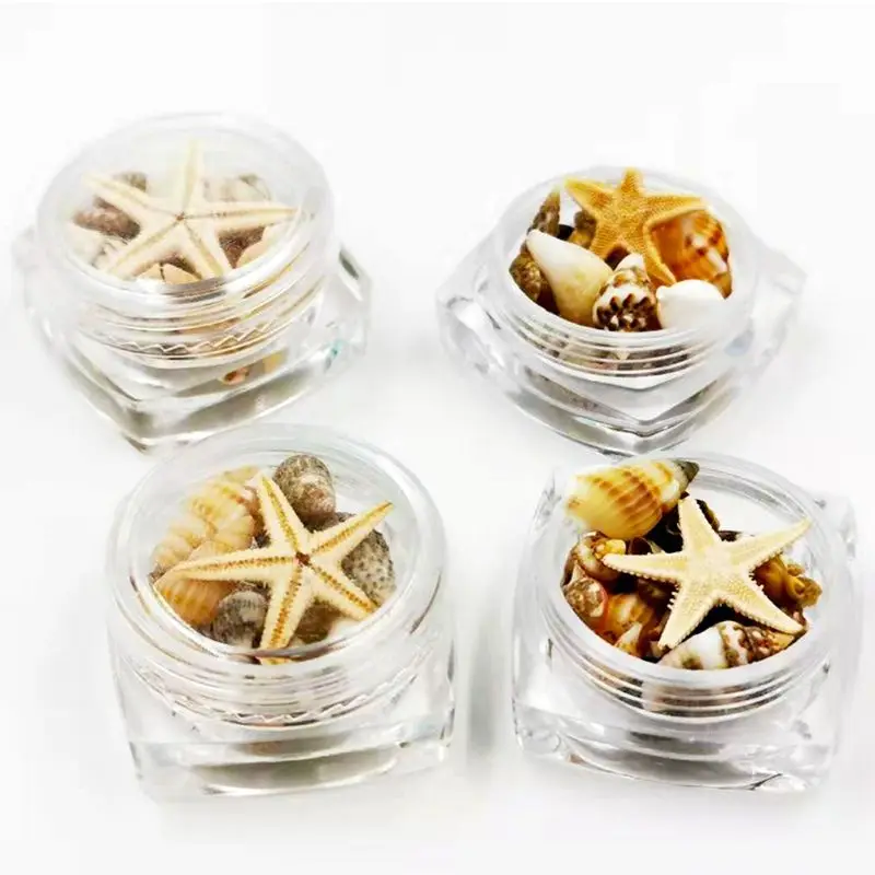 

Small Natural Beach Seashell Starfish Nautical Decor Nail Art Jewelry Making