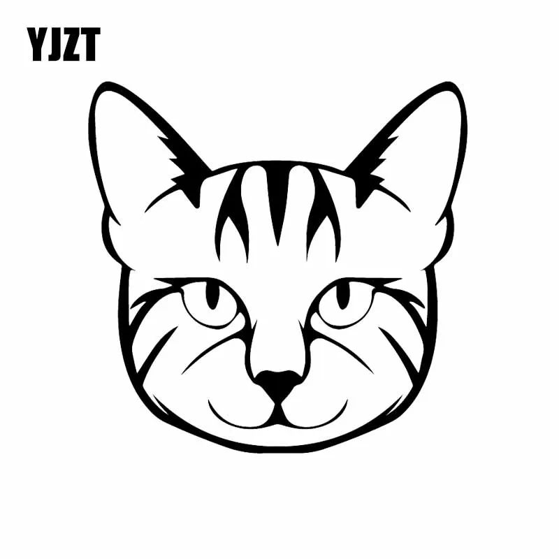 YJZT x см интересная виниловая наклейка с изображением животных и кошек