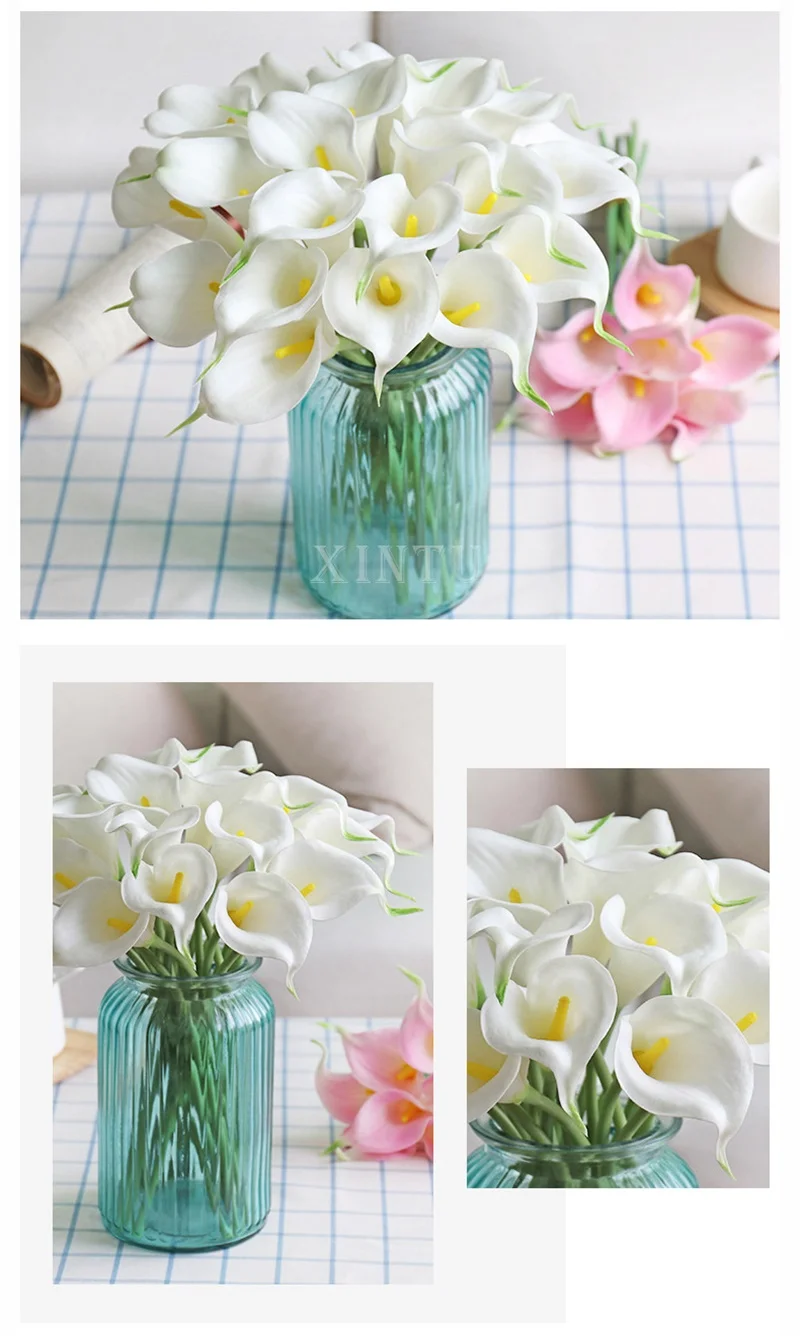 11367470634_206180440