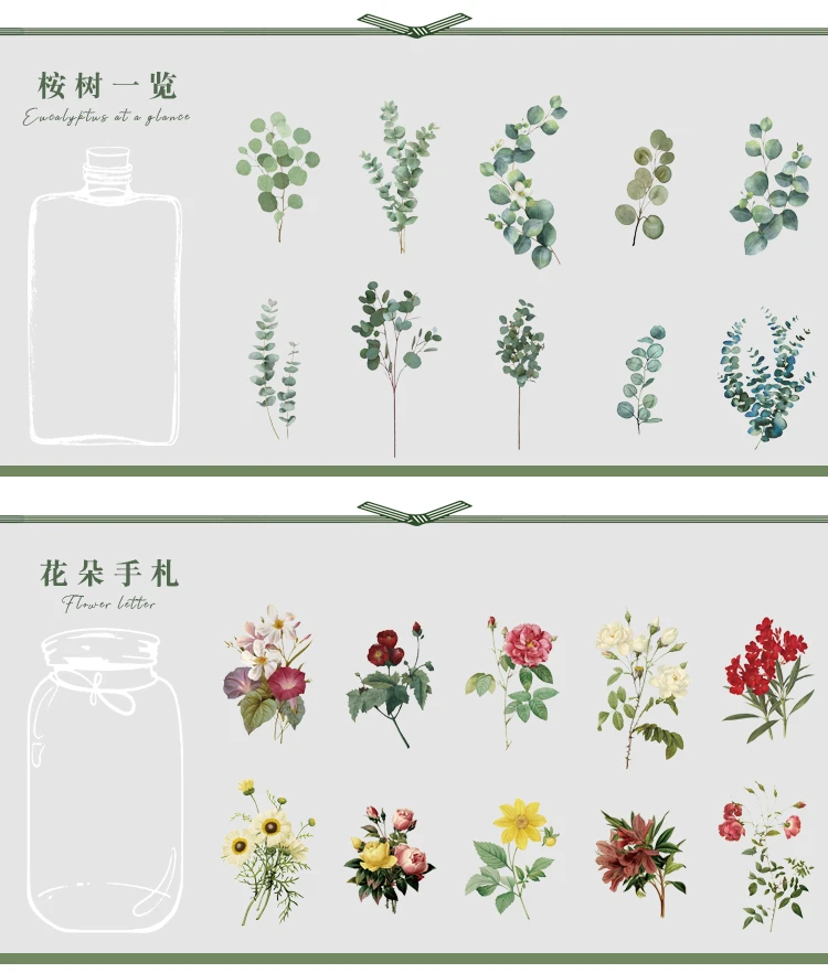 植物研究所贴纸包_04