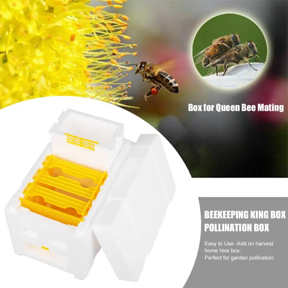 

Harvest Bee Hive Box Beekeeping King Pollination Box Beekeeping Tool For Garden Pollination Box King Reserve Beekeeping Tool