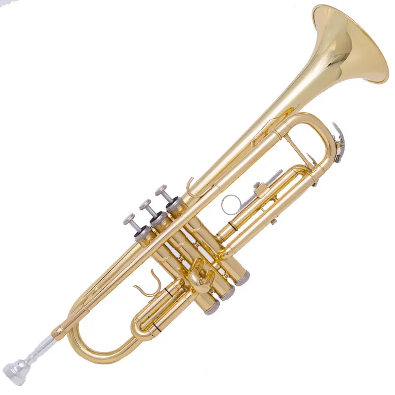 

FLOFAIR Wind Instrument Brass lacquer Gold beginner Flat alto Entry Band Trumpet Instrument Giving Away Musical Lnstrument Box