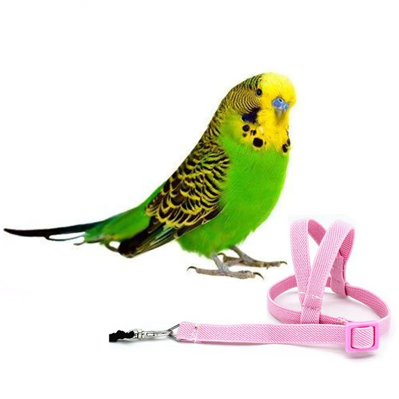 Cuerda de entrenamiento antimordedura para mascotas, Kits de correas ultraligeras para loros y pájaros, arnés suave y portátil, suministros de juguetes para mascotas, gran oferta