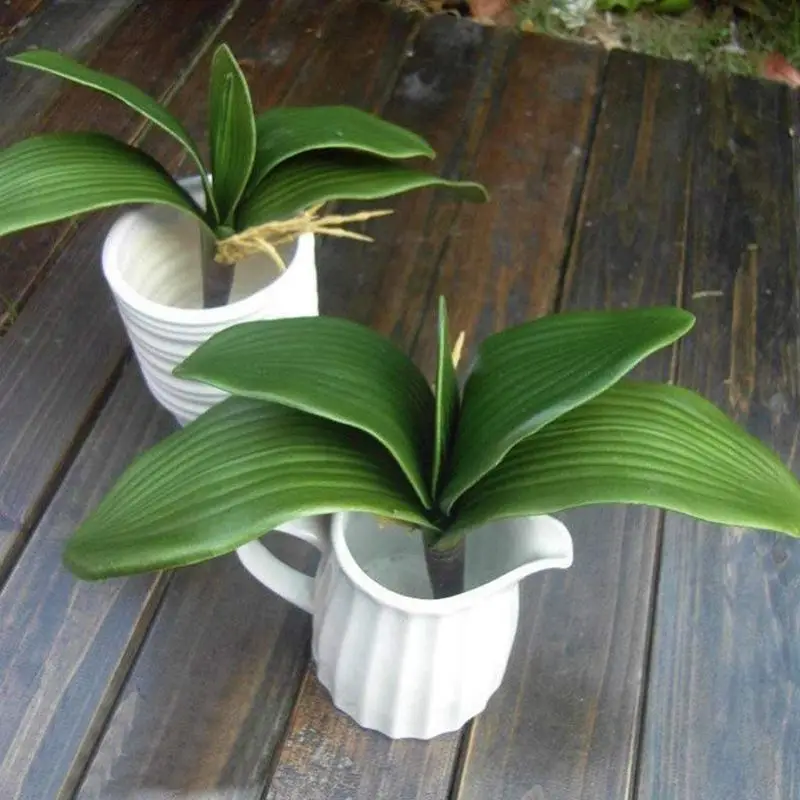 Artificial flower, leaves of Phalaenopsis(moth orchid), leaf / green(green) / 1 bundle
