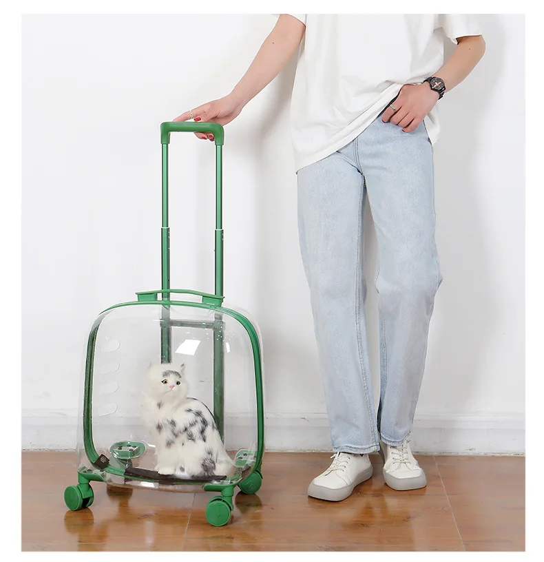 Hff056e70cb0d4c96a3ad9677baf75a02W