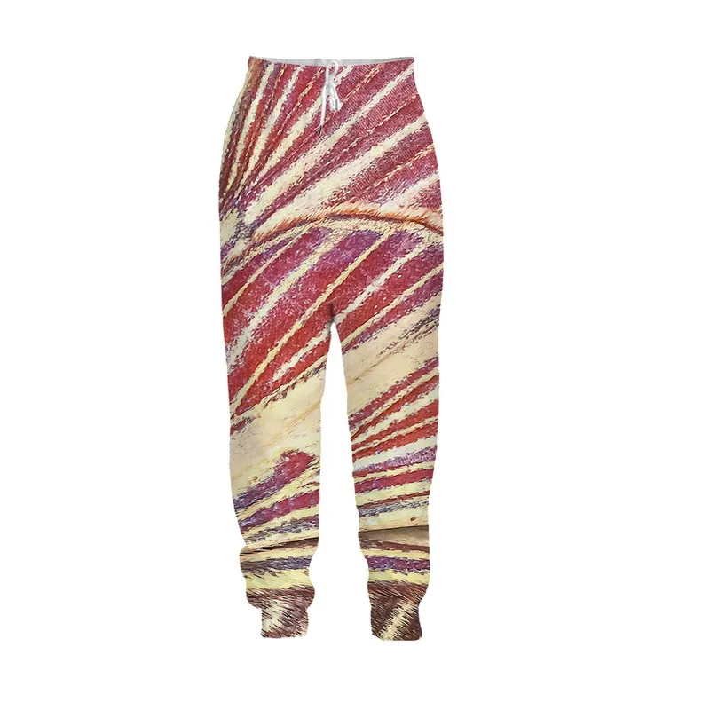 Colorful Graffiti Patterned 3D Printed Trouser S 5XL Full Length Optical Illusion Drawstring Colorful Casual Sports 3