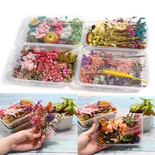 

1 Box Random Real Dried Flower Resin Mold Fillings UV Expoxy Flower Epoxy Resin Molds Craft for DIY Jewelry Making Accessories