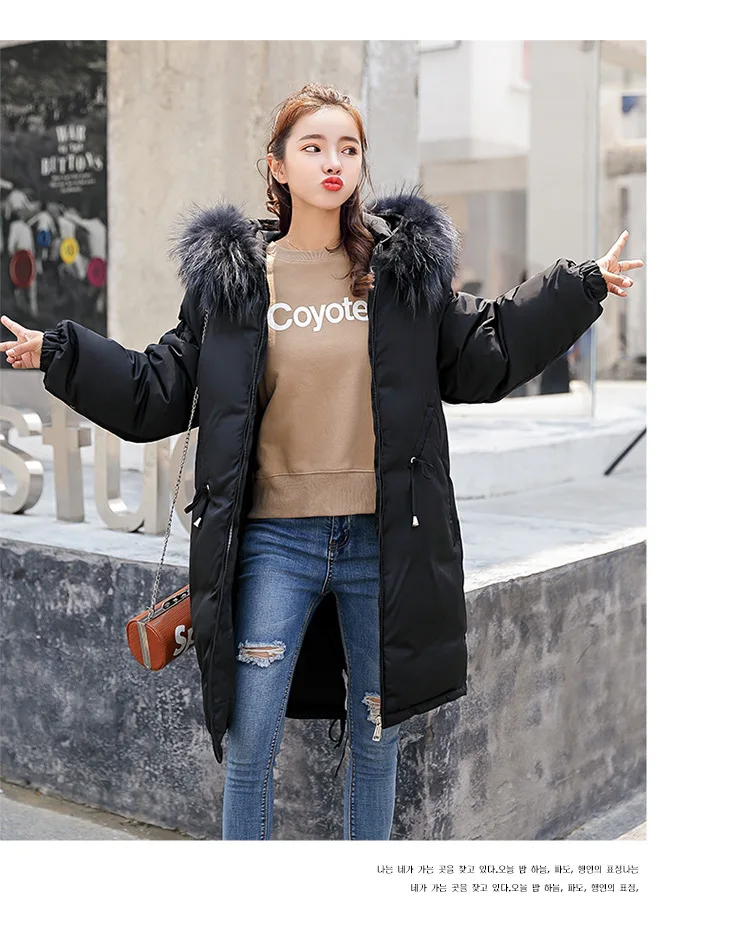 9021786701_1006637240