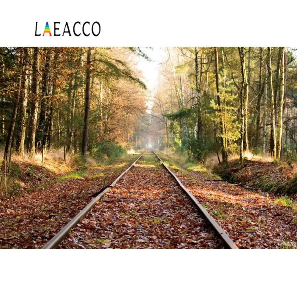 Laeacco осенние фоны дерево железная дорога лес опавшие листья Солнечный свет живописные фотографии фон|Фон