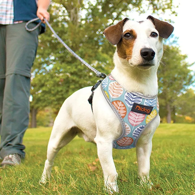 Поводок для домашних животных, для маленьких и средних собак, кошек, дышащий нейлоновый жилет, светоотражающий Регулируемый печатный поводок для собак