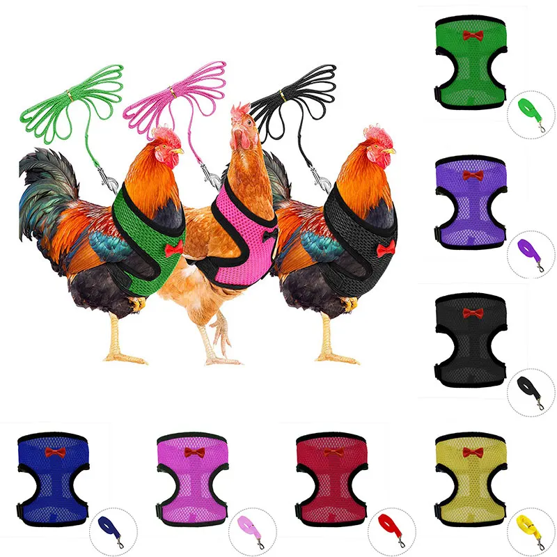 Arnés de malla con lazo para gato y pollo, correas de seguridad transpirables, arnés de perrito pequeño, Tira ajustable para el pecho, Verano