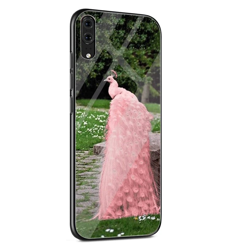 G6 Чехол для телефона из стекла ТПУ для huawei P10 P20 P30 Lite Pro P Smart mate 10 20 Lite Y6 Y9 Honor 7A 8X9 10 чехол с павлином - Цвет: G6