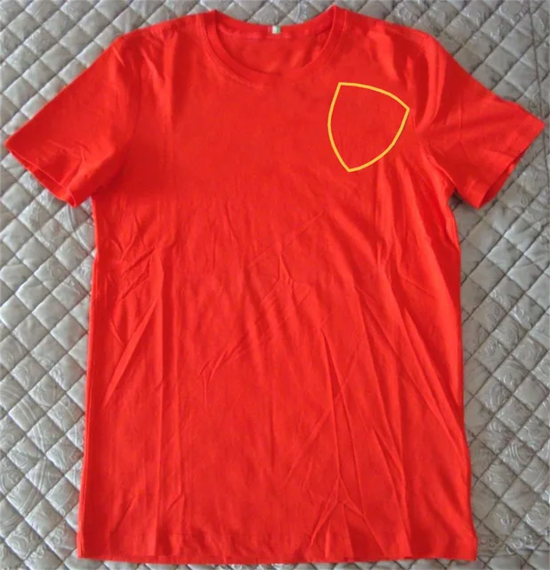 Hot sale F1 Formula One racing suit lapel POLO shirt clothes team work clothes short-sleeved T-shirt men's customization 2