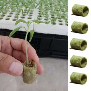 

20x Cylinder Rockwool Plant Hydroponic Grow Media Soilless Cultivation Compress M6CE