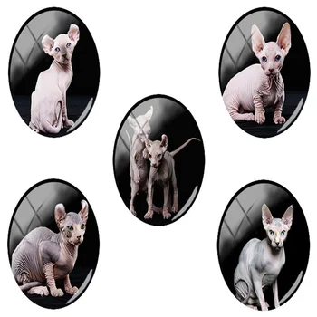 

TAFREE Flat Back Oval Glass Cabochons Black Sphynx Cat Pictures Findings 18x25 mm Hot 5pics/Lot Best Pet Lovers Jewelry CA229
