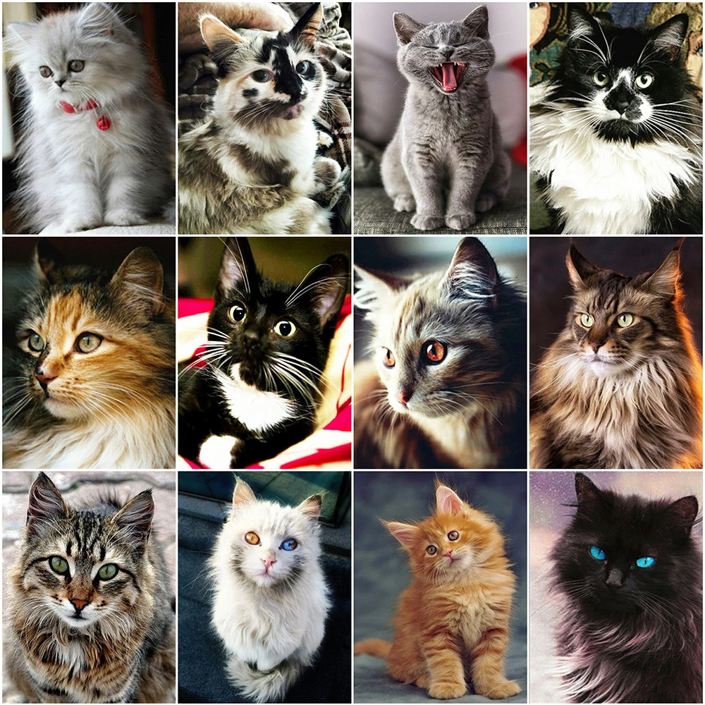 Evershine Diamond Painting Cat 5D DIY Diamond Embroidery Cross Stitch Animals Rhinestones Mosaic Kit Home Decoration diamond painting