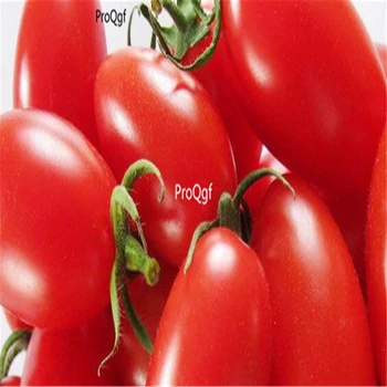 

Ngryise 9000Pcs A Set Red Cherry Tomato