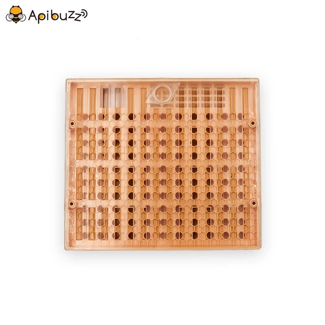 A Queen Bee Tenyésztő Starter Készletek - Nicot System Cupularve Hajhenger -Ketrecekkel Méhészeti Felszerelések Kezdő Méhész Eszközök - Image 2
