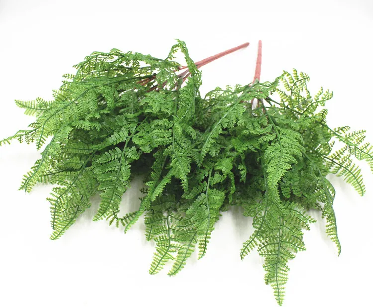 19叶软胶波斯叶