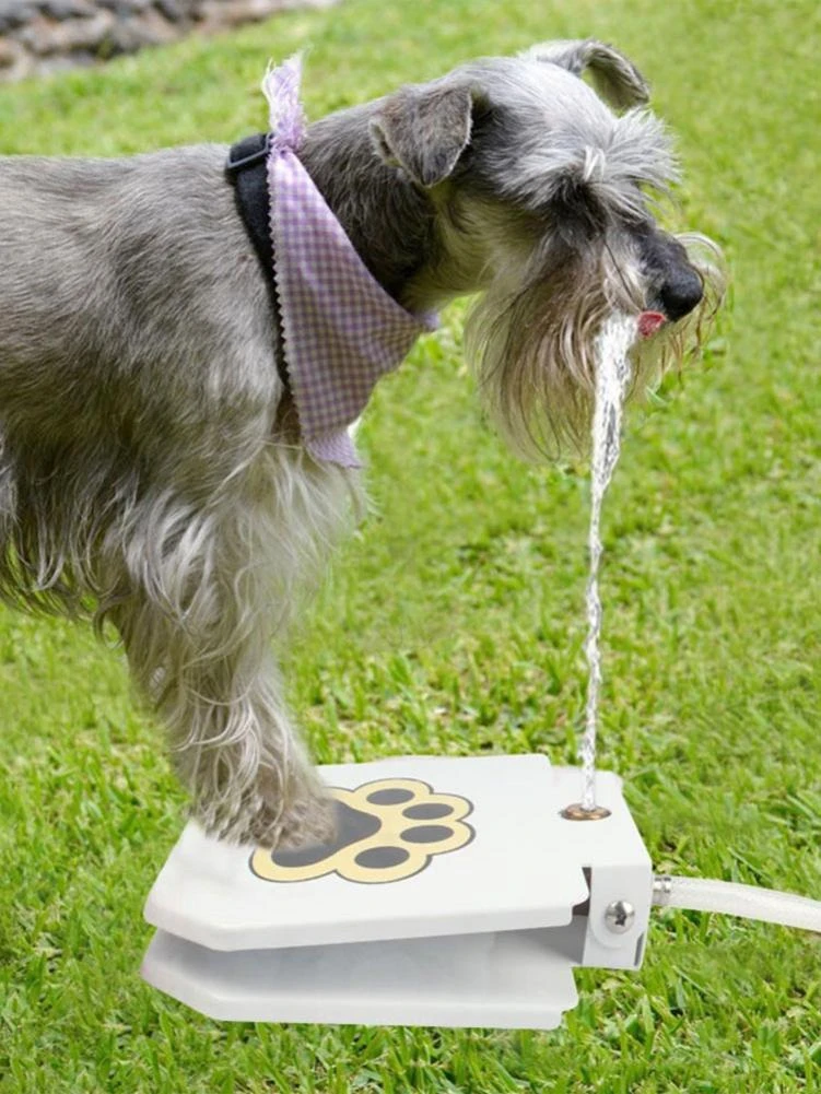 automatic dog waterer outdoor