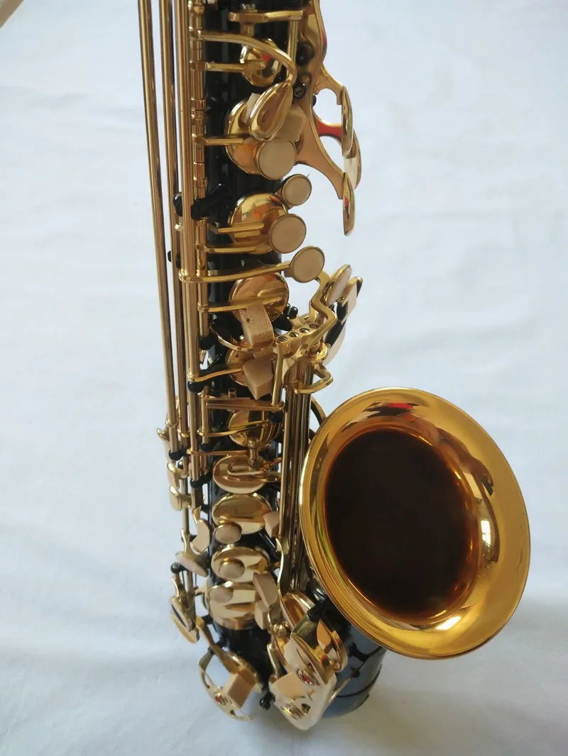 

High Quality Brand French SAS-R54 NEW Alto Saxophone Eb Tune Lacquered Gold Key Professional Sax Mouthpiece and case