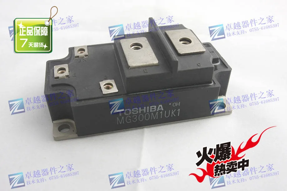 

MG300M1UK1 Japan Power Modules--ZYQJ
