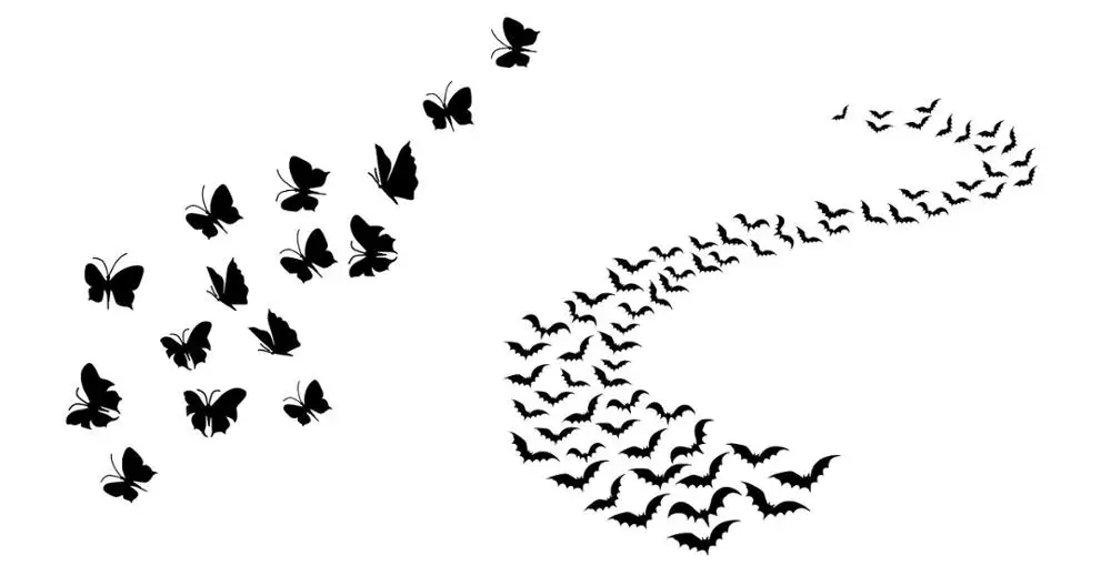 

Bird butterfly Transparent Clear Stamp for DIY scrapbooking/Card Making C615