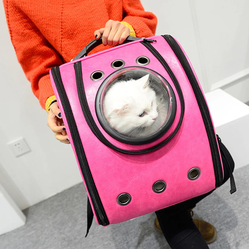 4093487850_335788119