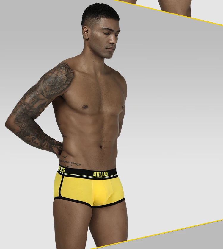 ORLVS Брендовое Мужское нижнее белье мужские боксеры cueca tanga дышащие Ropa Interior Hombre мужские боксеры шорты быстросохнущая сетка calzoncillo мужские