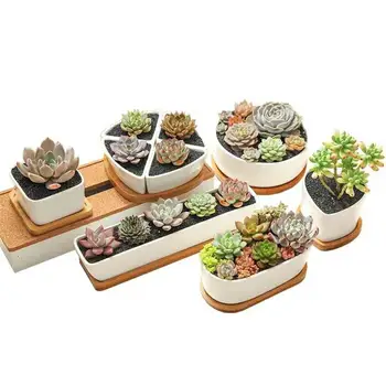 

Minimalist Geometry White Ceramic Succulent Plant Pot Bonsai Planter Porcelain Flower Pot Home Decor with Wooden Stand
