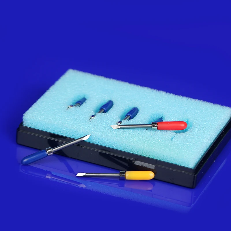 HTB1wZxQq79WBuNjSspeq6yz5VXaI