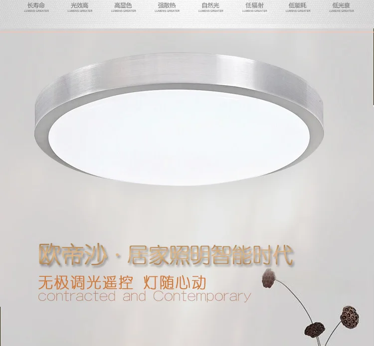 LED Ceiling Lamp Acrylic Balcony Hallway Modern Minimalist Bedroom Library Toilet Engineering Corridor Lights