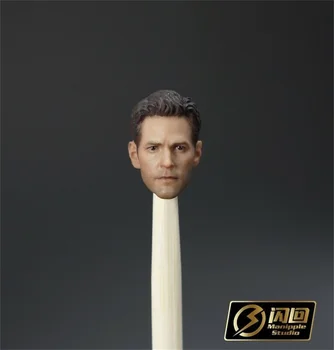 

1:12 Scale Ant Man Paul Rudd Head Sculpt For shf 6" Male Action Figure Body Toy