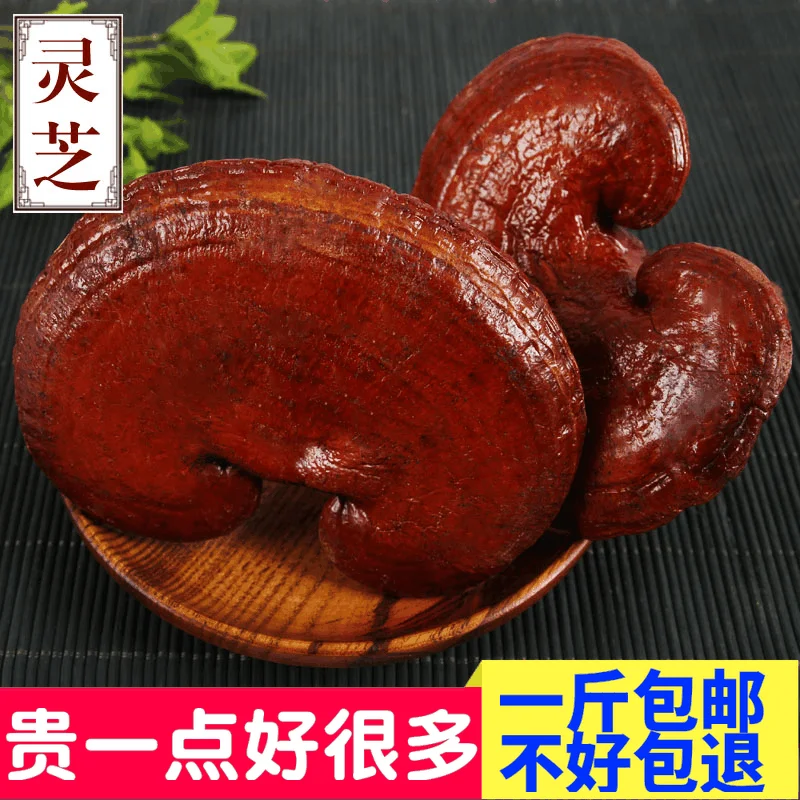 

500g/1000g Natural high quality Changbai mountain Ganoderma lucidum Ganoderma free delivery