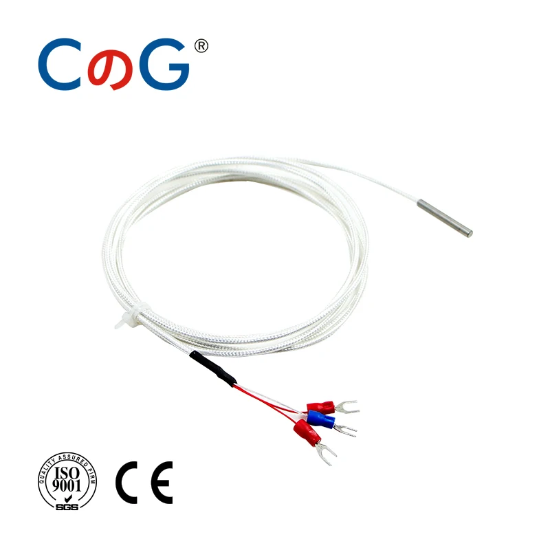 Cg 5mm*30mm K J Pt100 1m 2m 3m 5m Probe Type Probe Thermocouple